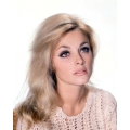 Sharon Tate Photo